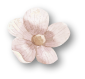 aflower_2_2